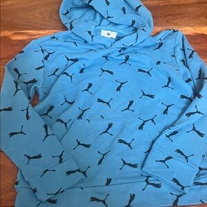Puma Sky Blue Hoodie with Black Logo Design
